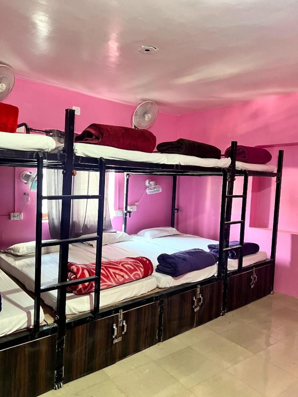 The Hostel Crown أُودايبور المظهر الخارجي الصورة